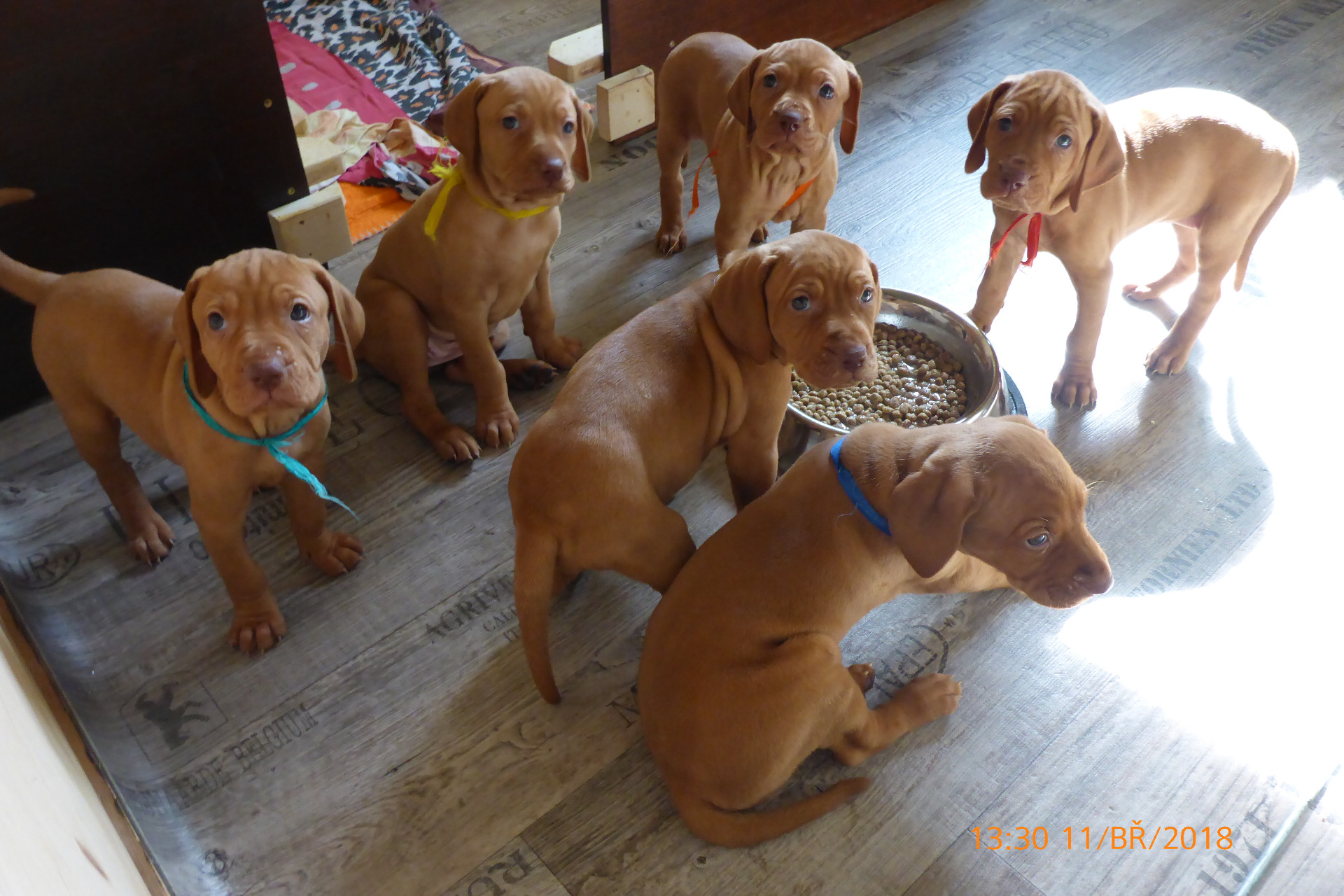 Už nám je 5 týdnů